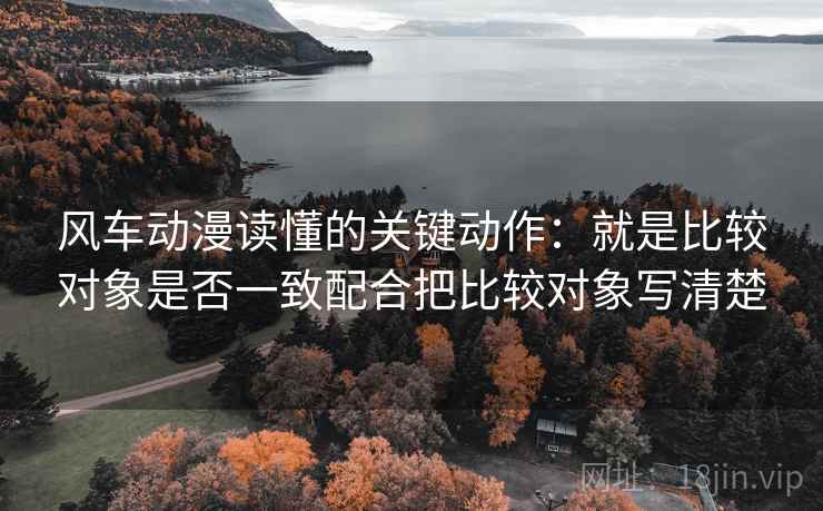 风车动漫读懂的关键动作：就是比较对象是否一致配合把比较对象写清楚